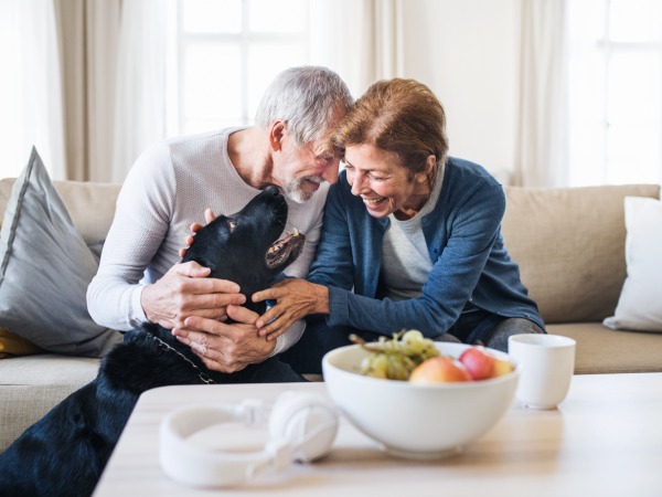 A happy senior couple sitting on a sofa indoors with a pet dog at home.